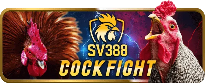 Cá cược Tennis J7BET